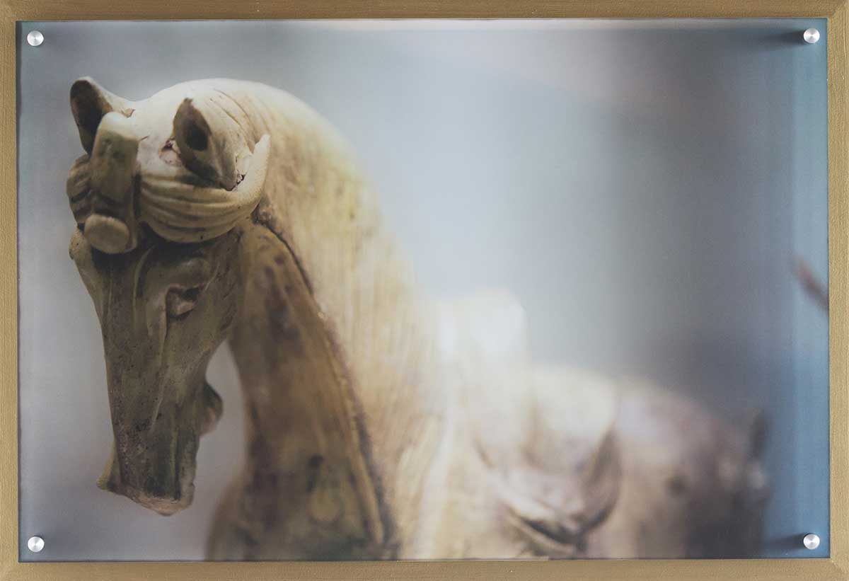 Horse 1 Matte Acrylic White Board Gold 3 Coastal New England | CapeNeddick